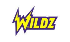 Wildzy